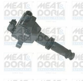 Alfa Romeo Bobine 10310