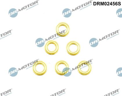 Alfa Romeo Brandplaatjes, Injector/Verstuiver DRM02456S