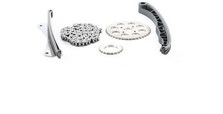 Alfa Romeo Distributiekettingset BSG25102001