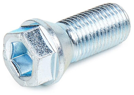 Alfa Romeo Eibach wielschroeven 10 stuks S11145024171