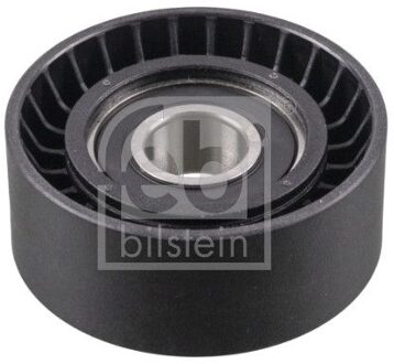 Alfa Romeo Geleide rol/omdraairol, Poly V-riem 196131