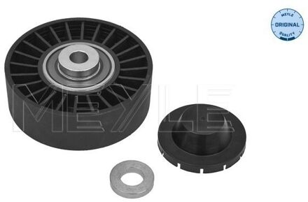Alfa Romeo Geleide rol/omdraairol, Poly V-riem 2140090003