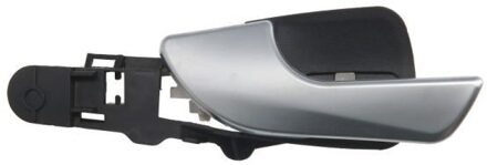 Alfa Romeo Handgreep, interieur 601022017409PP