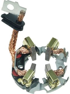 Alfa Romeo Houder, koolborstel SBH0007