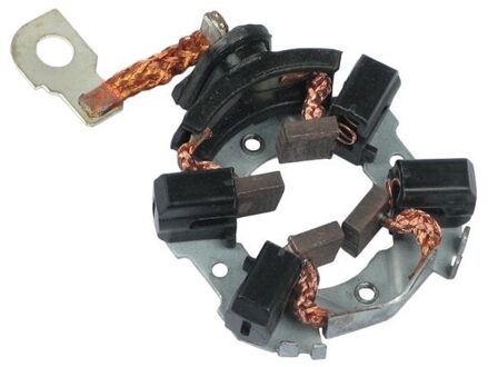 Alfa Romeo Houder, koolborstel SBH0029