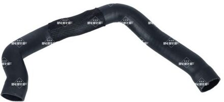 Alfa Romeo Laadluchtslang 166292