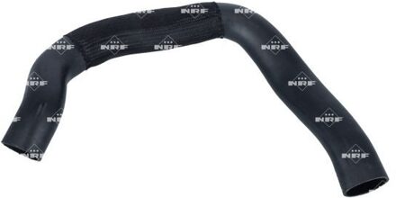 Alfa Romeo Laadluchtslang 166343