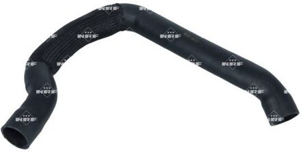 Alfa Romeo Laadluchtslang 166491