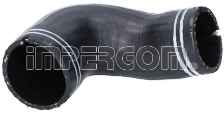 Alfa Romeo Laadluchtslang 17574