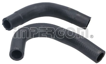 Alfa Romeo Leiding, AGR klep 17173