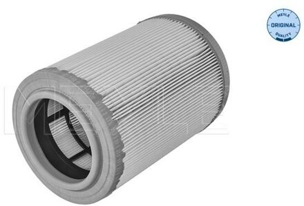 Alfa Romeo Luchtfilter 15123210001