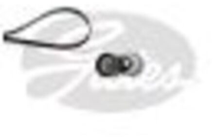 Alfa Romeo Multiriem set K136PK1043