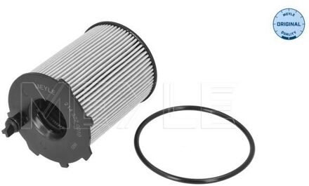 Alfa Romeo Oliefilter 2143220010