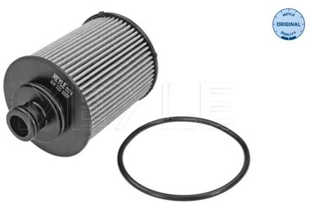 Alfa Romeo Oliefilter 6143220007