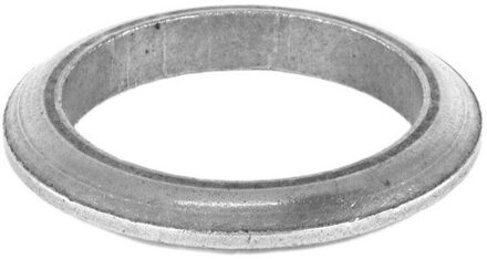 Alfa Romeo Pakking, uitlaatpijp 82500