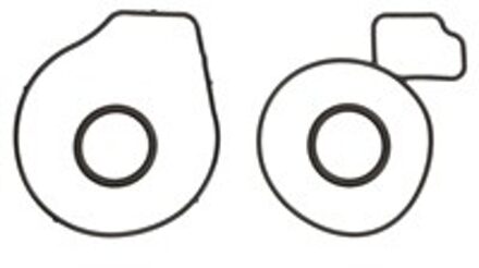 Alfa Romeo Pakkingsset, waterpomp 483760