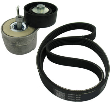 Alfa Romeo Poly V-riem set VKMA32085