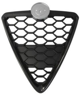 Alfa Romeo Radiateurgrille 6502070105999GP