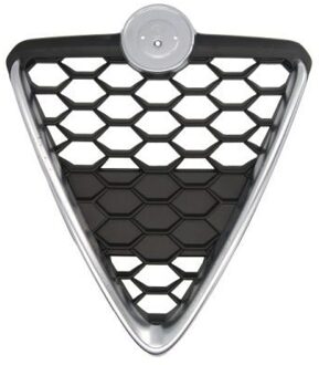 Alfa Romeo Radiateurgrille 6502070105999P