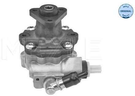 Alfa Romeo Servo pomp 15146310000