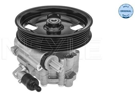 Alfa Romeo Servo pomp 15146310002