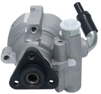 Alfa Romeo Servo pomp FP4