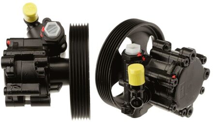 Alfa Romeo Servo pomp JPR791