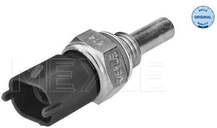 Alfa Romeo Temperatuursensor 6148990038