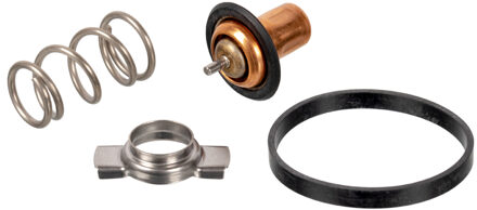 Alfa Romeo Thermostaat, koelvloeistof 173111