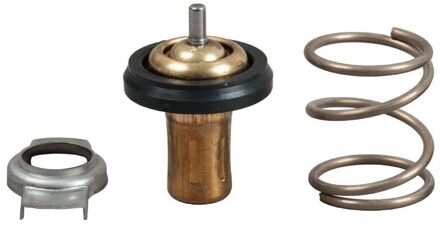 Alfa Romeo Thermostaat, koelvloeistof TH49288G1