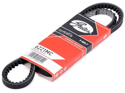 Alfa Romeo V-Snaar 6221MC