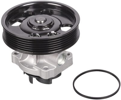 Alfa Romeo Waterpomp 24334