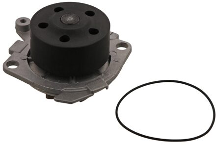 Alfa Romeo Waterpomp 34519