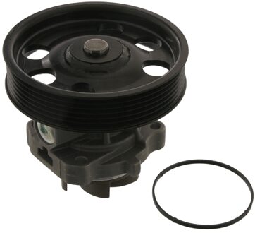 Alfa Romeo Waterpomp 39884