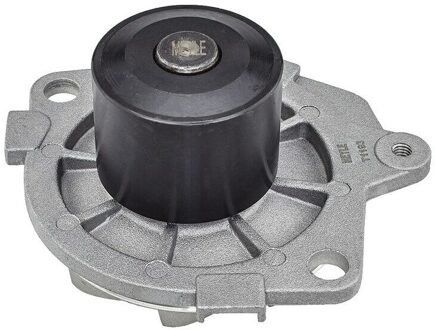 Alfa Romeo Waterpomp 6132200001