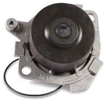 Alfa Romeo Waterpomp P1012