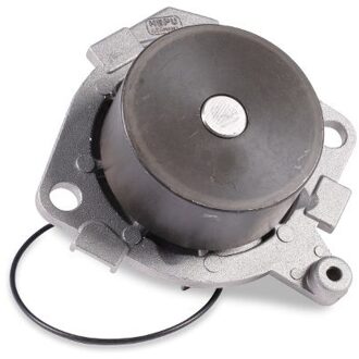 Alfa Romeo Waterpomp P1087