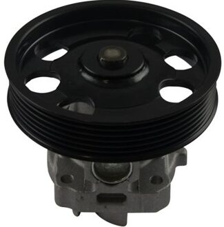 Alfa Romeo Waterpomp SW1918