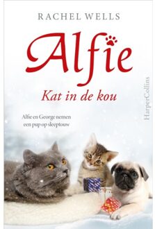 Alfie - Kat in de kou