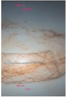 Alibi Lullaby - Norma Cole