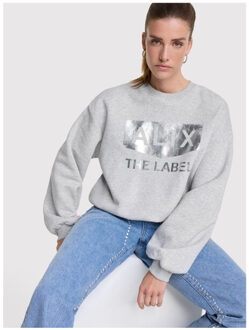 Alix The Label Sweaters 2509887406 Grijs - M