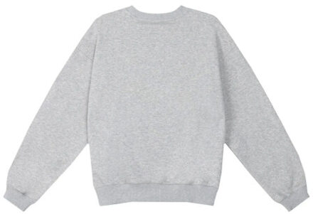 Alix The Label Sweaters 2511887472 Grijs - M