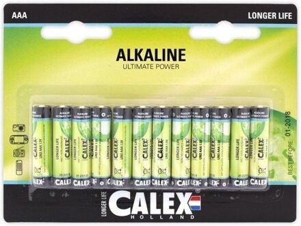Alkaline batterij AAA / LR03