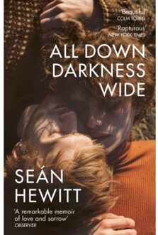 All Down Darkness Wide - Sean Hewitt