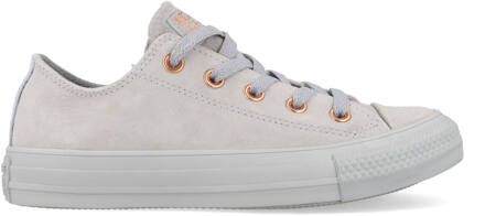 All Stars Suede 161206C Grijs-35