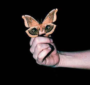 All Systems Are Lying - Soulwax