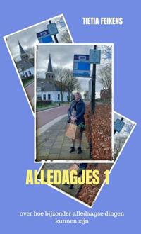 Alledagjes -  Tietia Feikens (ISBN: 9789464188035)