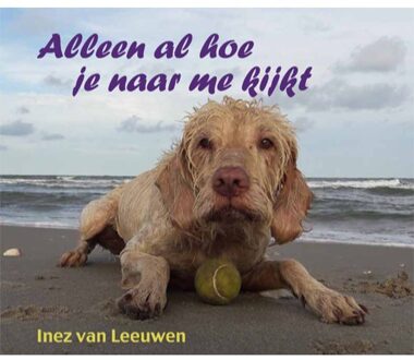 Alleen Al Hoe Je Naar Me Kijkt - Inez van Leeuwen