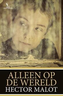 Alleen op de wereld - Boek Hector Malot (9049901344)