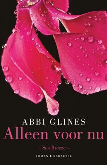 Alleen voor nu - eBook Abbi Glines (9045213370)